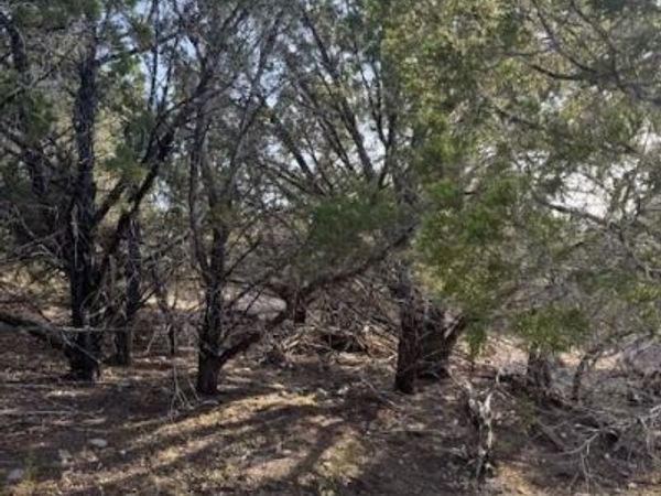 20003 Continental CV, Leander, TX 78645