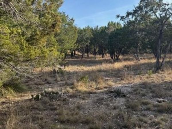 20003 Continental CV, Leander, TX 78645