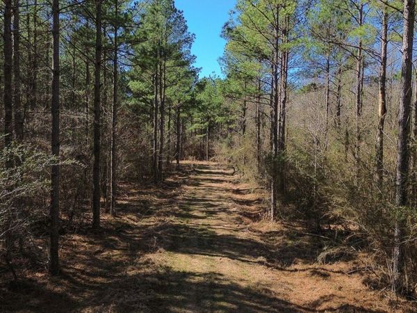 Lot 7 Ridge Rd, Columbus, MS 39705
