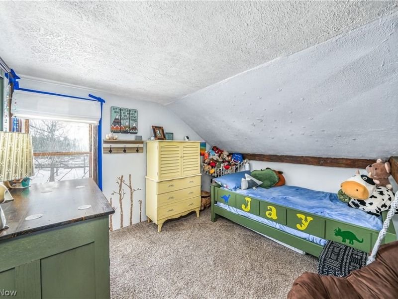 8511 Freedom Road, Windham, OH 44288 Photo 21