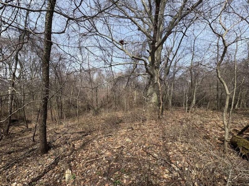 5828 Township Road 14 , Mount Gilead, OH 43338 Photo 1