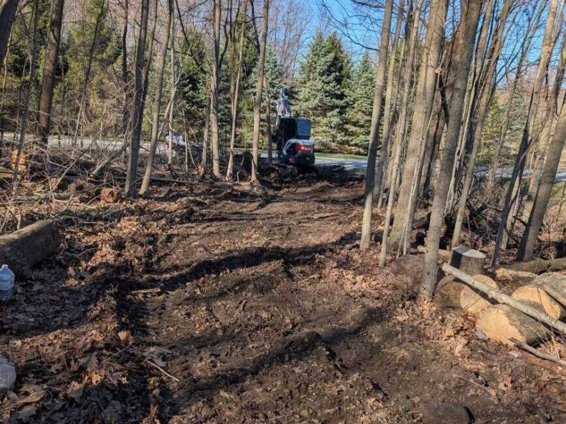 5828 Township Road 14 , Mount Gilead, OH 43338 Photo 10