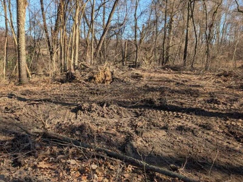 5828 Township Road 14 , Mount Gilead, OH 43338 Photo 11