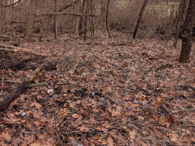 5828 Township Road 14 , Mount Gilead, OH 43338 Photo 12