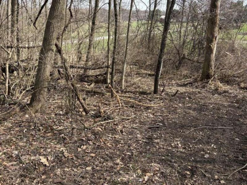 5828 Township Road 14 , Mount Gilead, OH 43338 Photo 2