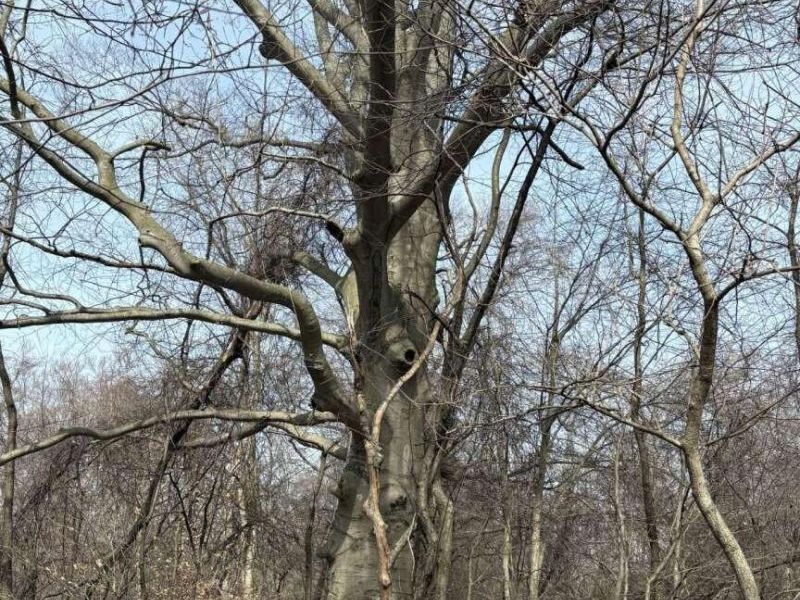 5828 Township Road 14 , Mount Gilead, OH 43338 Photo 3