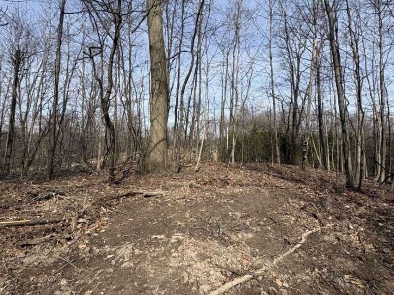 5828 Township Road 14 , Mount Gilead, OH 43338 Photo 5