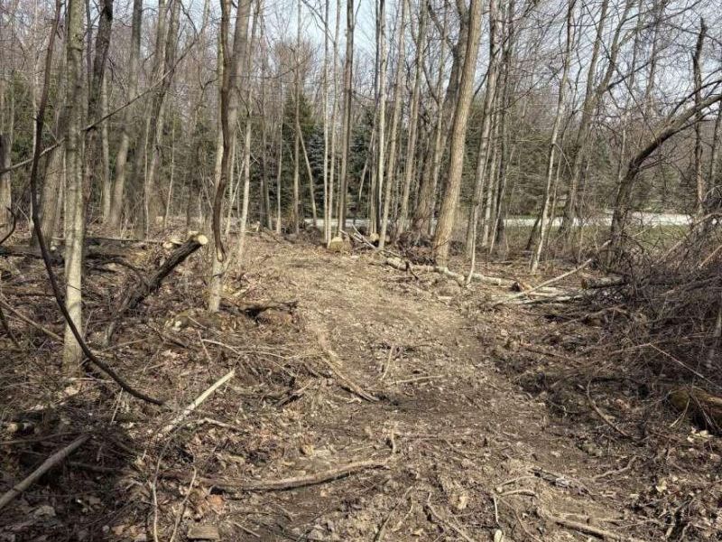 5828 Township Road 14 , Mount Gilead, OH 43338 Photo 7