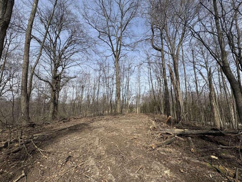 5828 Township Road 14 , Mount Gilead, OH 43338 Photo 8