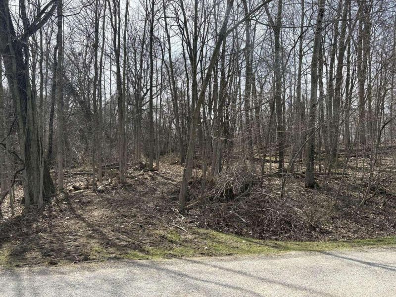 5828 Township Road 14 , Mount Gilead, OH 43338 Photo 9