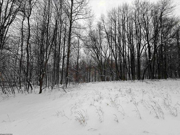 TBD Silver Oak Lane, Belington, WV 26250