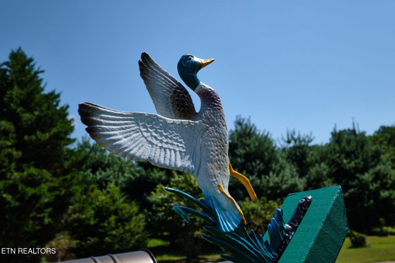 399 Texas Lane, Kingston, TN 37763 Main Photo