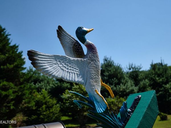 399 Texas Lane, Kingston, TN 37763