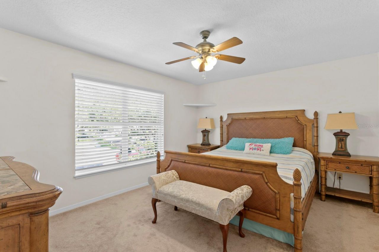 13548 Lake Magdalene Drive, Tampa, FL 33613 Photo