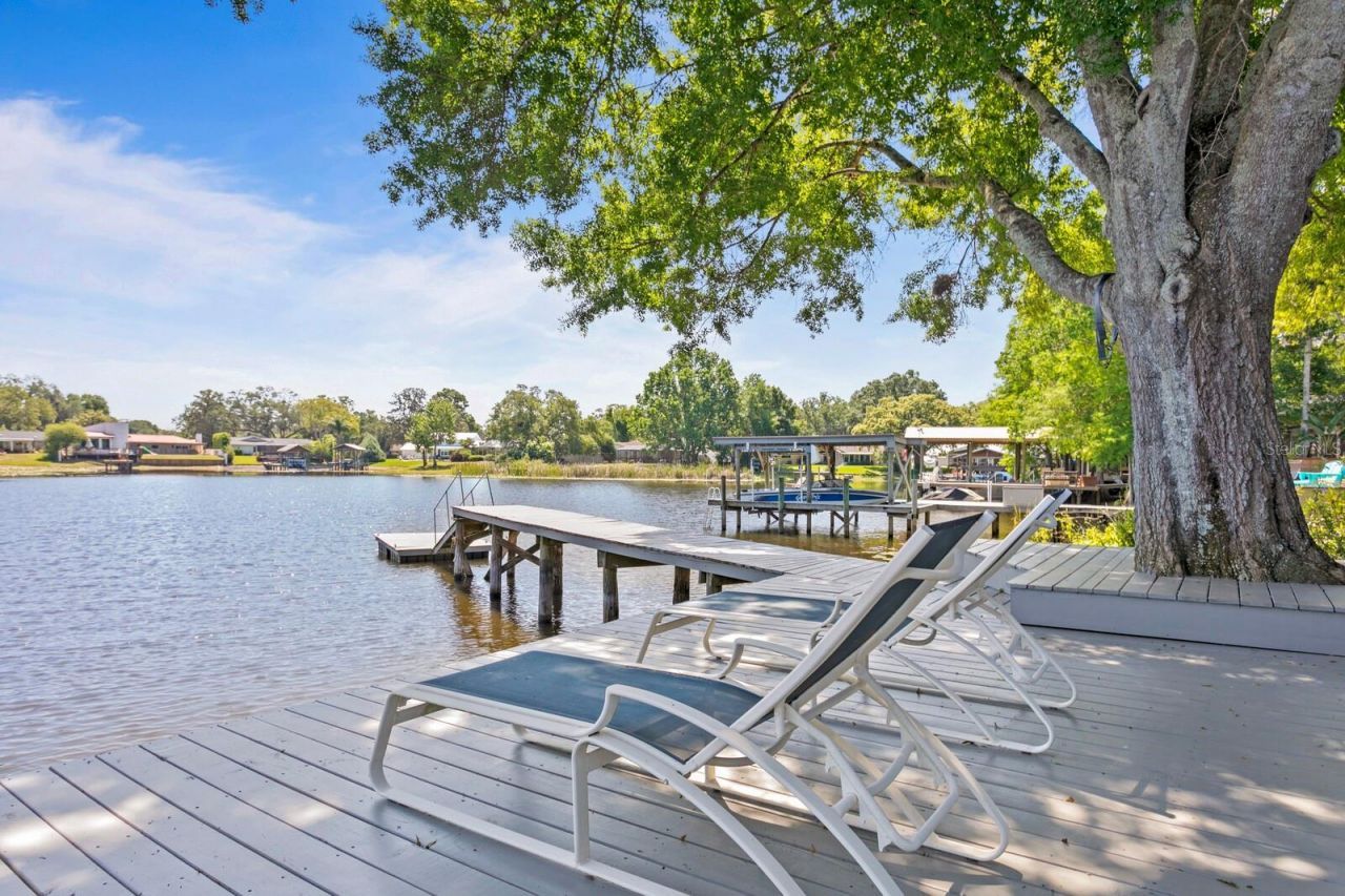 13548 Lake Magdalene Drive, Tampa, FL 33613 Photo