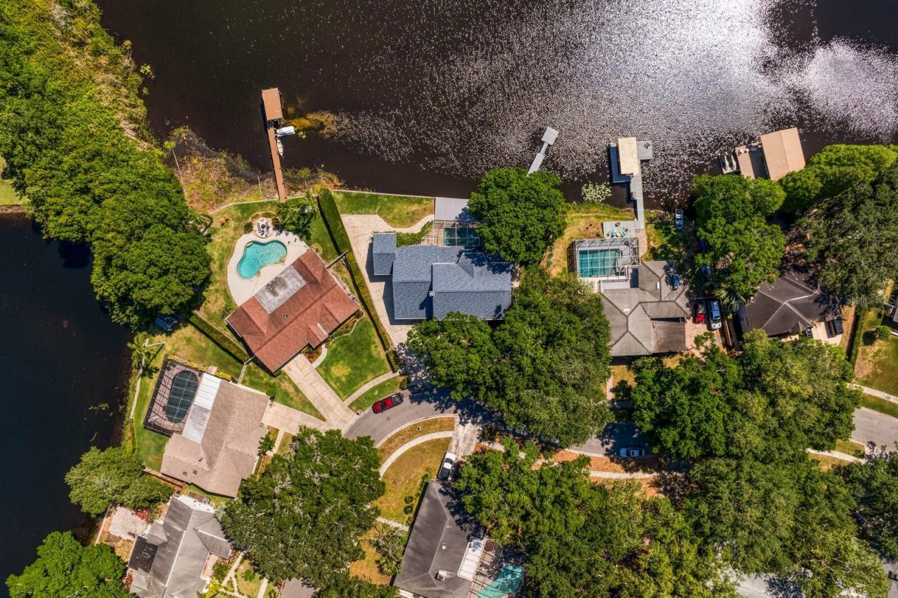 13548 Lake Magdalene Drive, Tampa, FL 33613 Photo