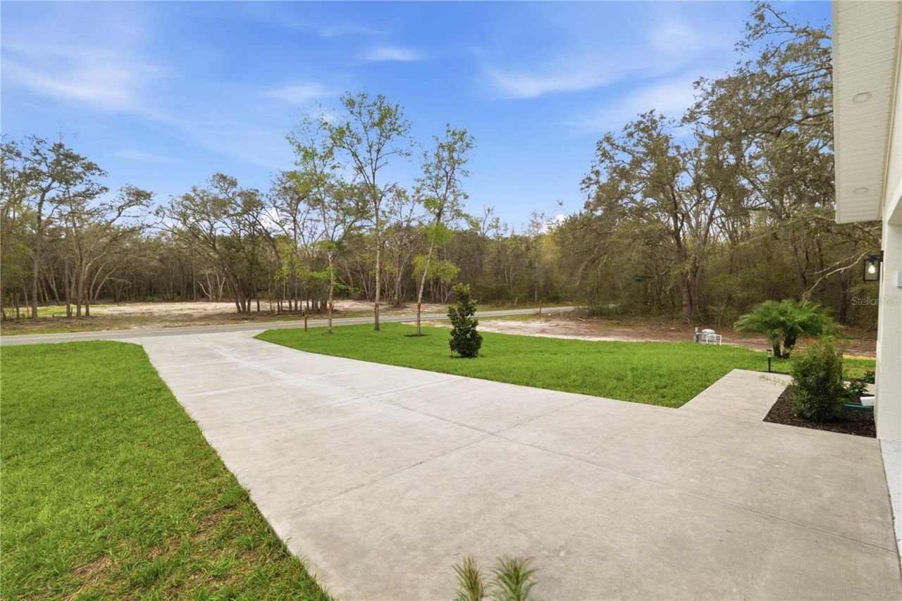9342 Wheystone Drive, Webster, FL 33597 Photo