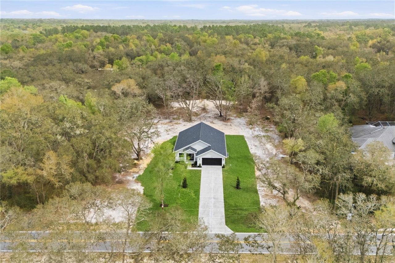 9342 Wheystone Drive, Webster, FL 33597 Photo