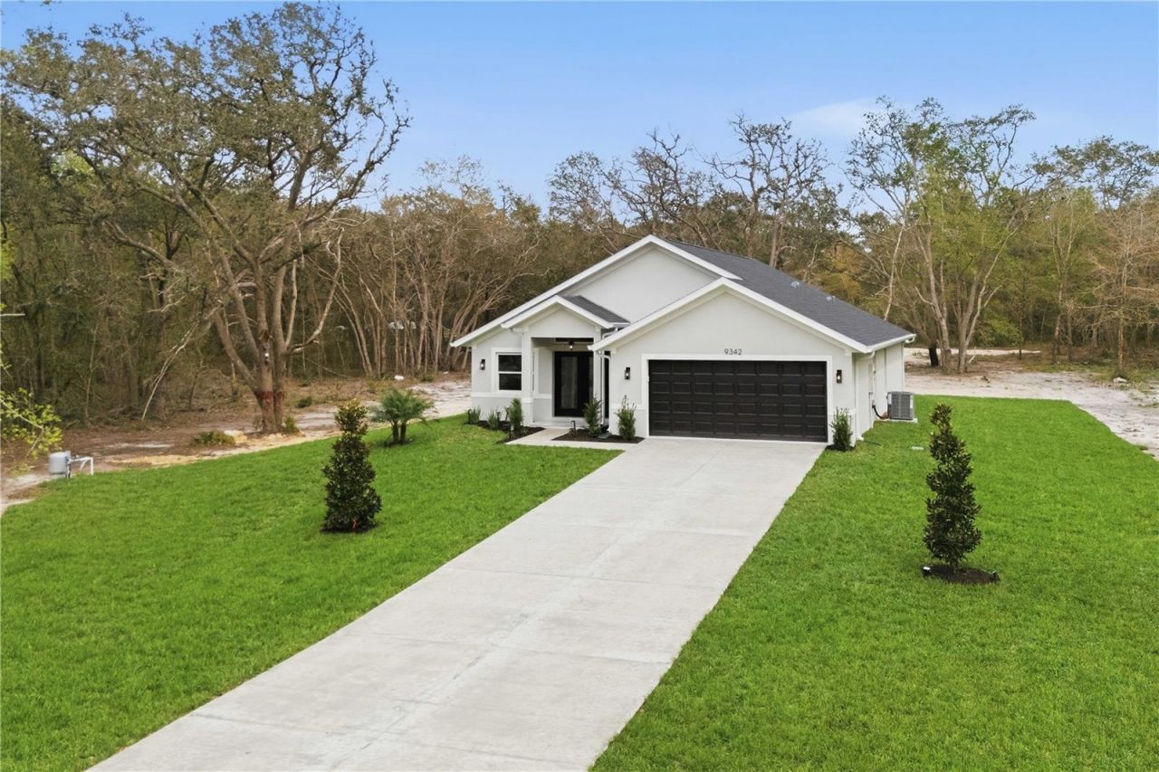 9342 Wheystone Drive, Webster, FL 33597 Photo