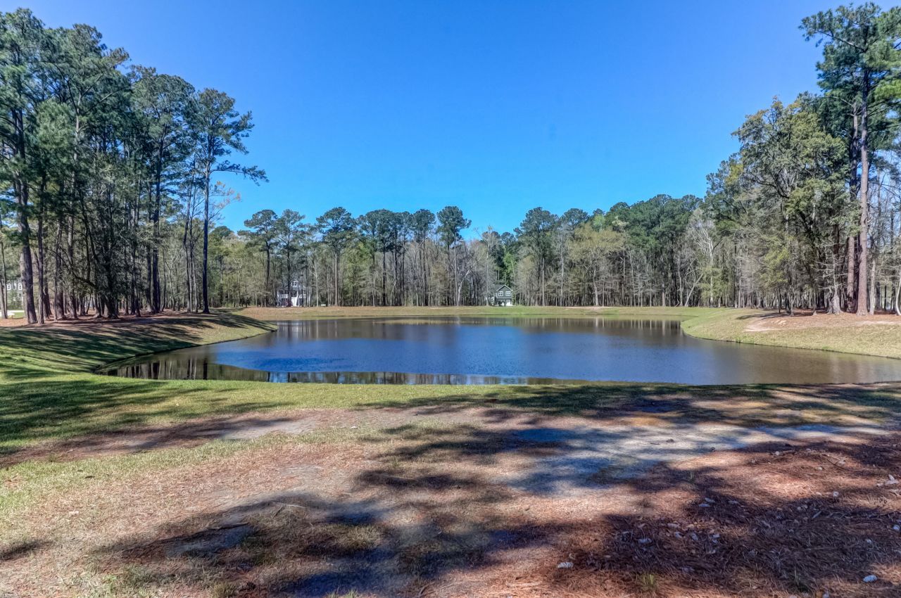 1299 Segar Street Photo 37