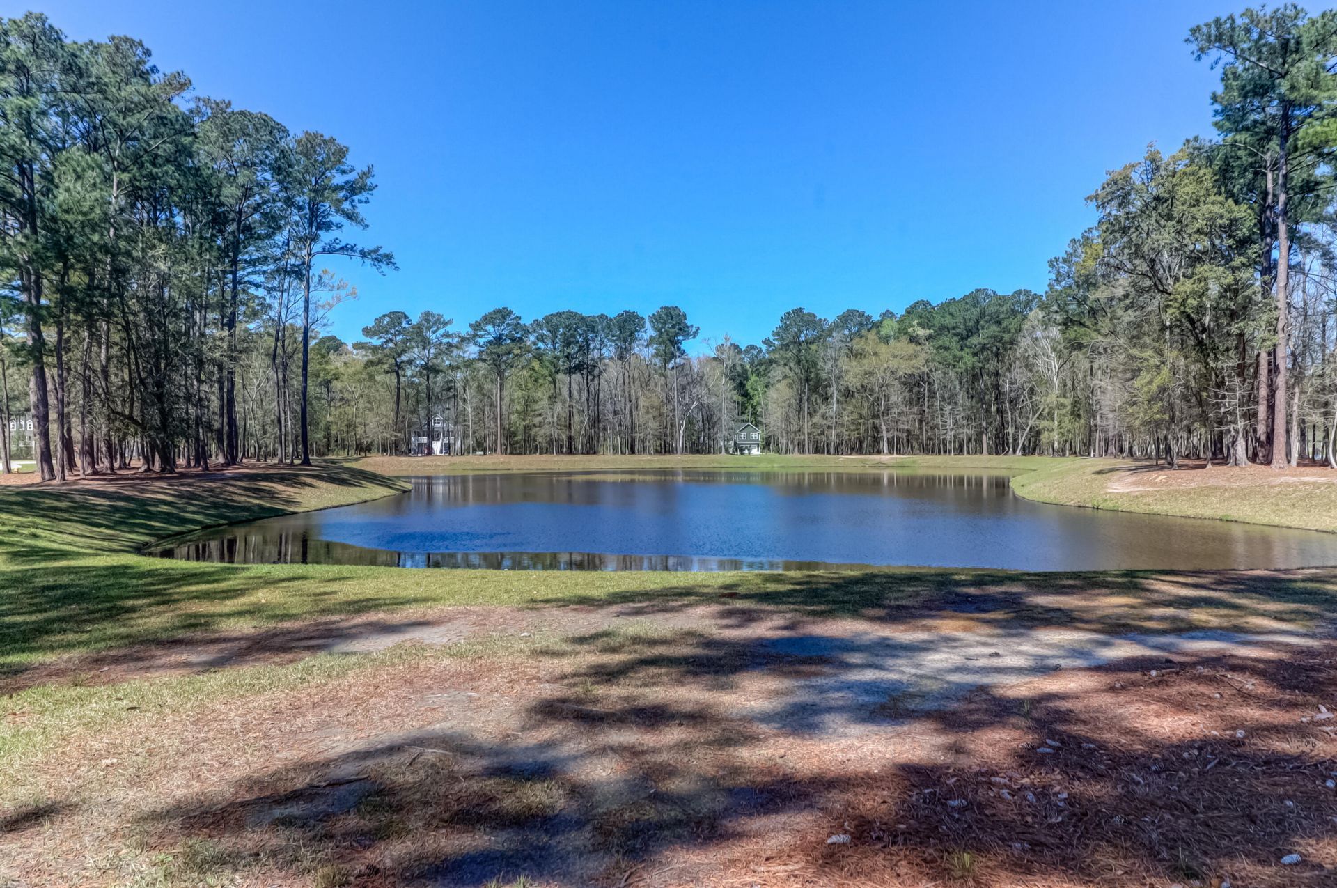 1299 Segar Street Photo 40