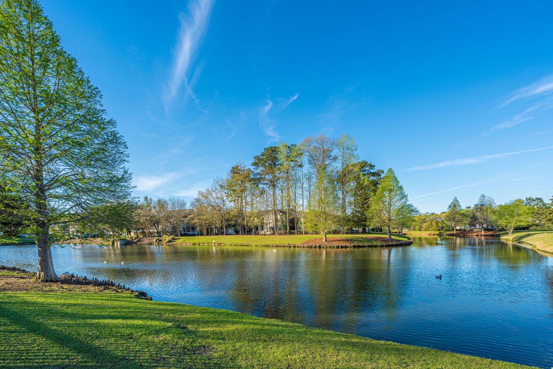52 Regency Oaks Drive Photo 34