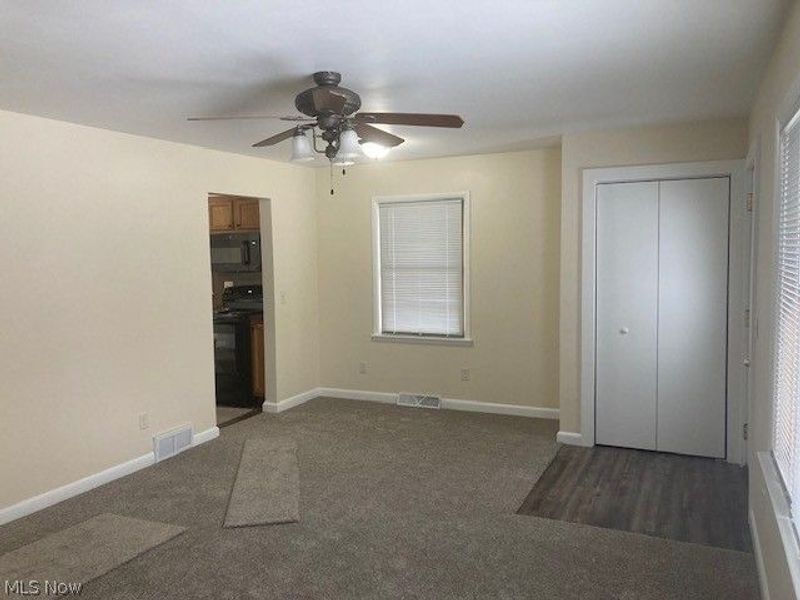 310 N Mecca Street, Cortland, OH 44410 Photo 7