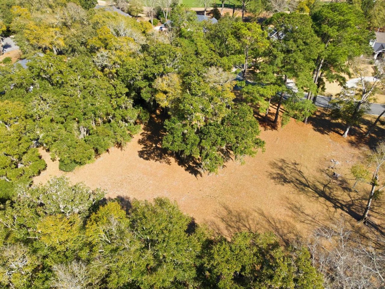 602 Chapman Loop  Photo 12