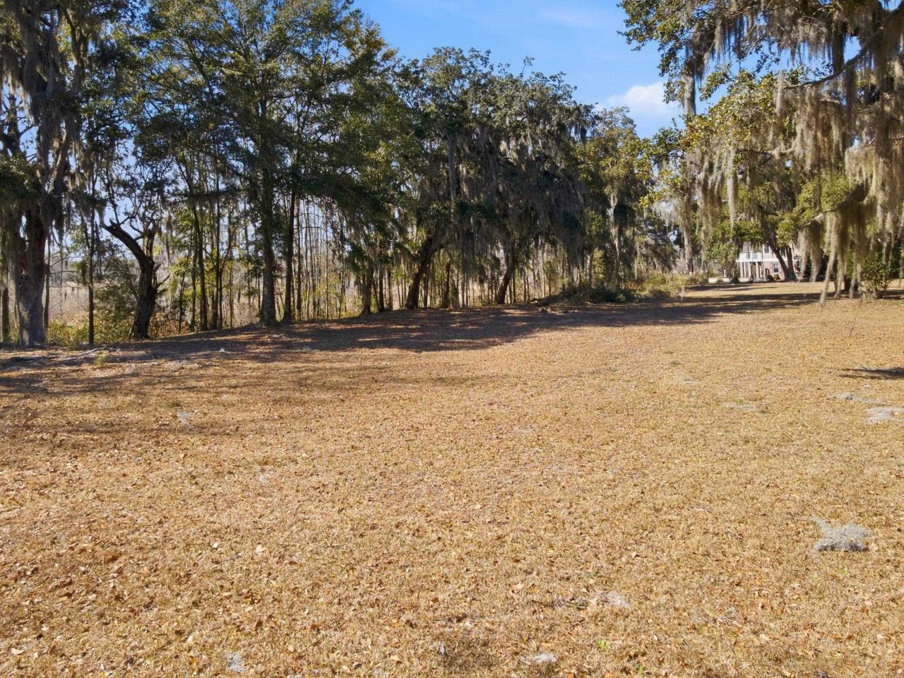 602 Chapman Loop  Photo 17