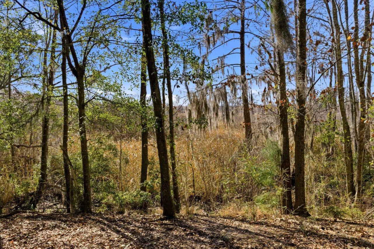 602 Chapman Loop  Photo 18