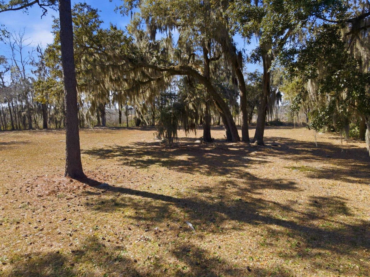 602 Chapman Loop  Photo 21