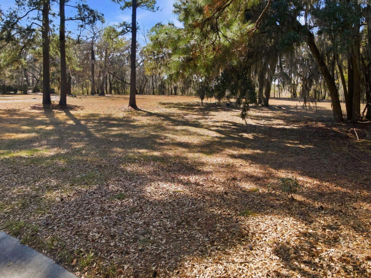 602 Chapman Loop  Photo 22