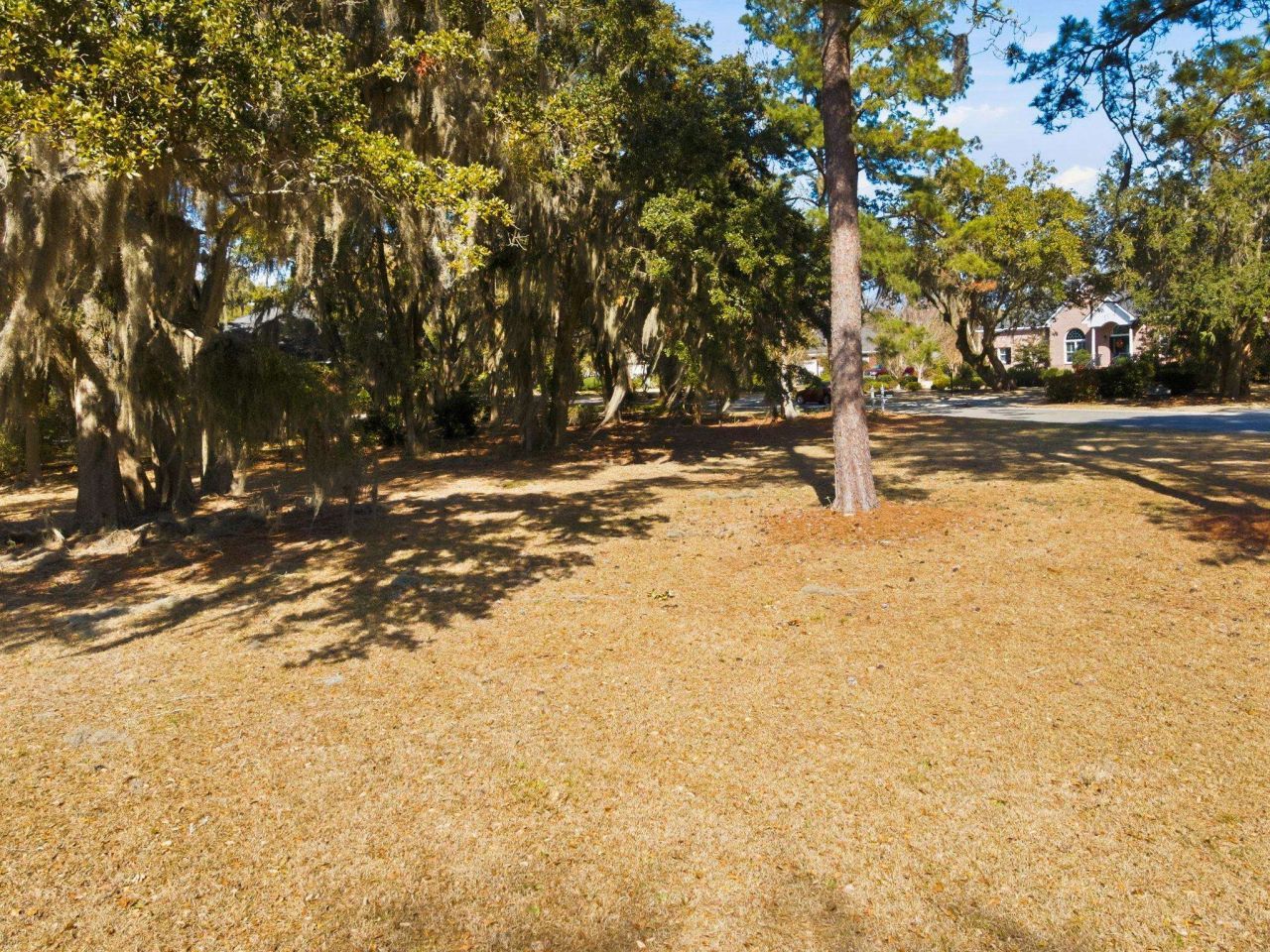 602 Chapman Loop  Photo 23