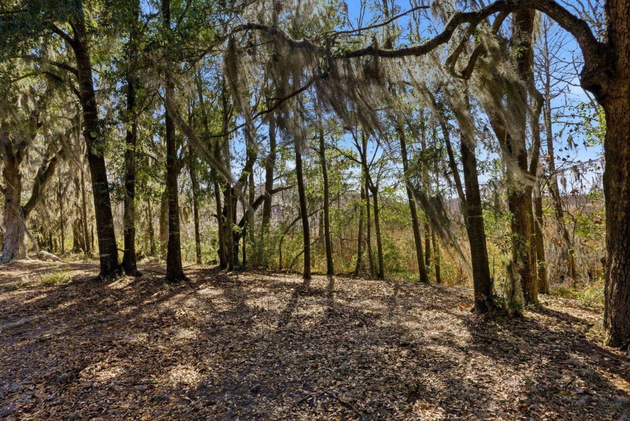 602 Chapman Loop  Photo 24