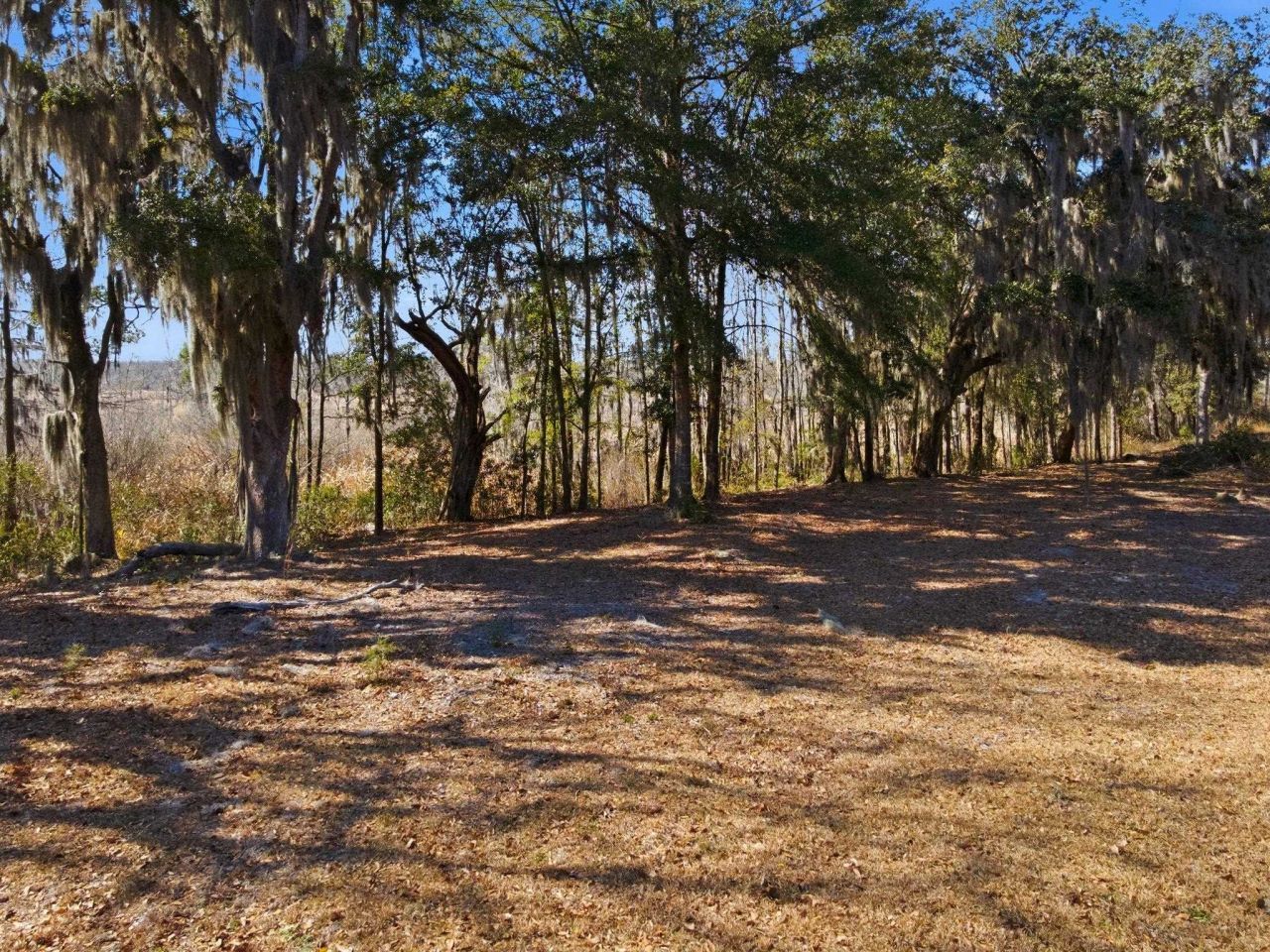 602 Chapman Loop  Photo 25