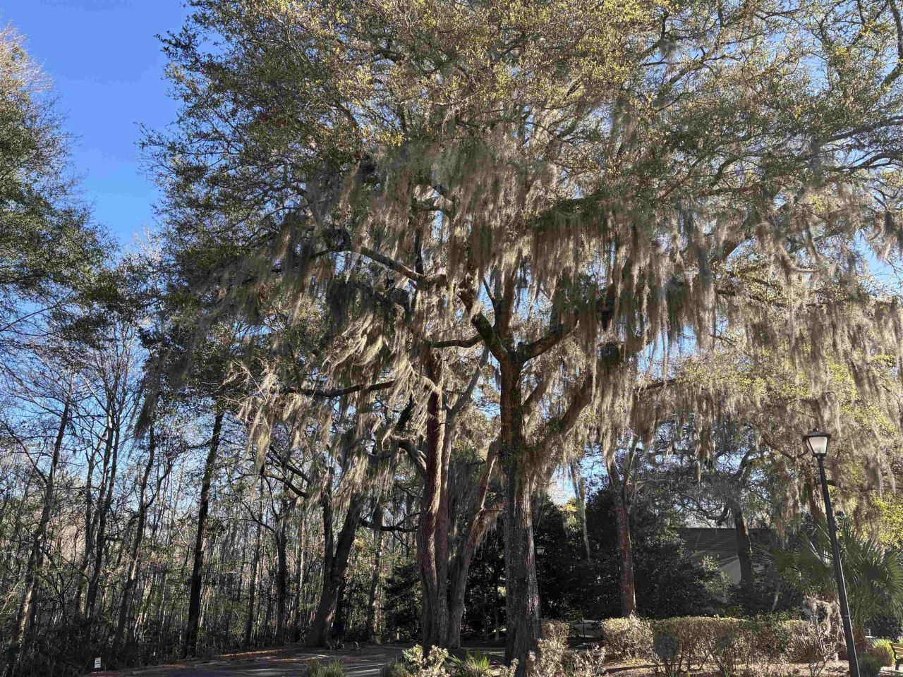 602 Chapman Loop  Photo 26