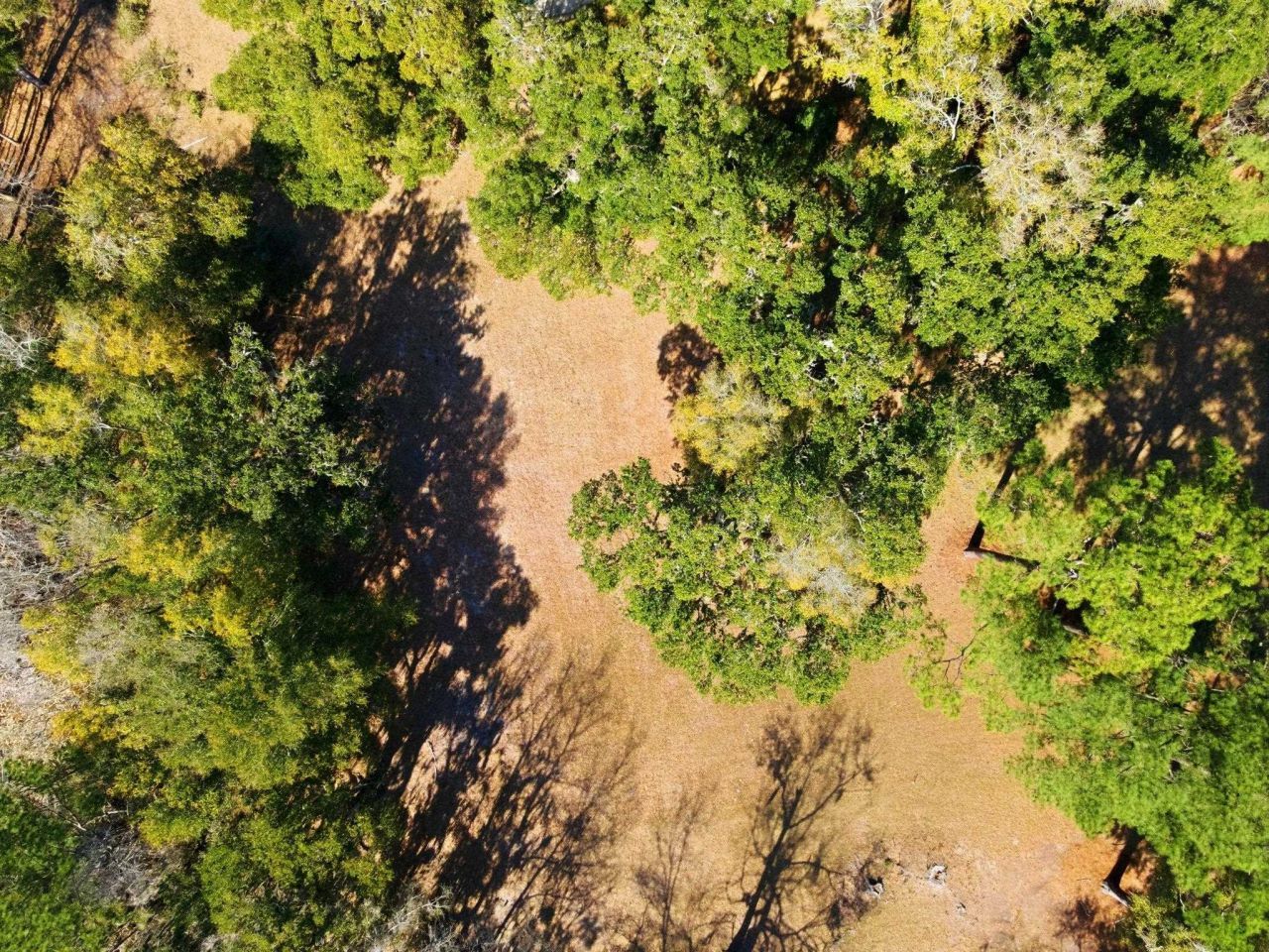 602 Chapman Loop  Photo 8