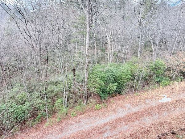 8072 Doublehead Gap Road, Blue Ridge, GA 30513