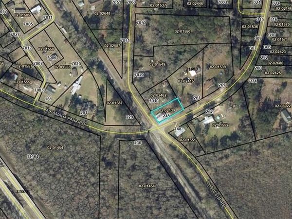 245 Altamaha Park Road, Brunswick, GA 31525