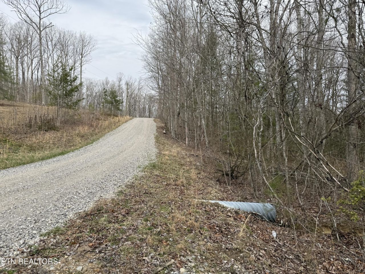 0 Northwood Place, Jamestown, TN 38556 Main Photo