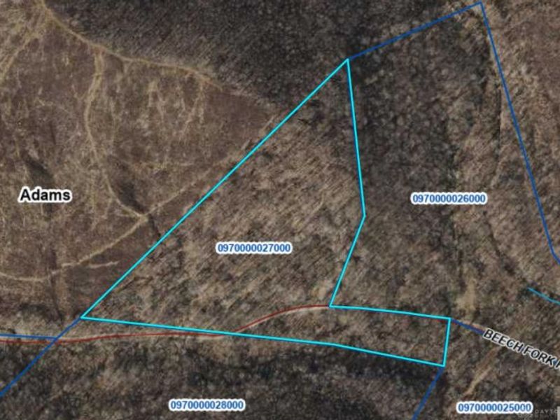 20 Beech Fork Road, Otway, OH 45657 Photo 1