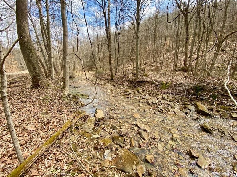 20 Beech Fork Road, Otway, OH 45657 Photo 10