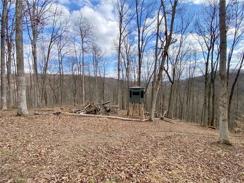 20 Beech Fork Road, Otway, OH 45657 Photo 14