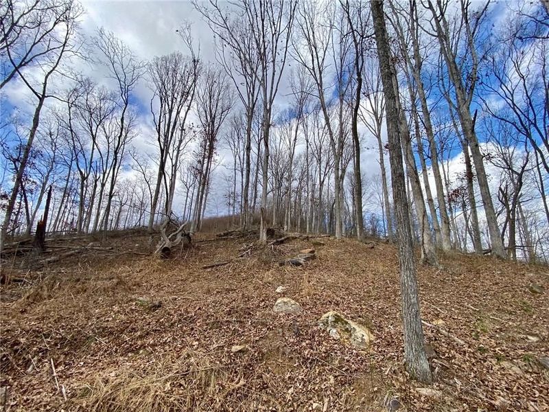 20 Beech Fork Road, Otway, OH 45657 Photo 15