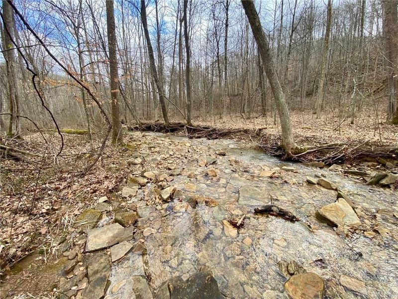 20 Beech Fork Road, Otway, OH 45657 Photo 6