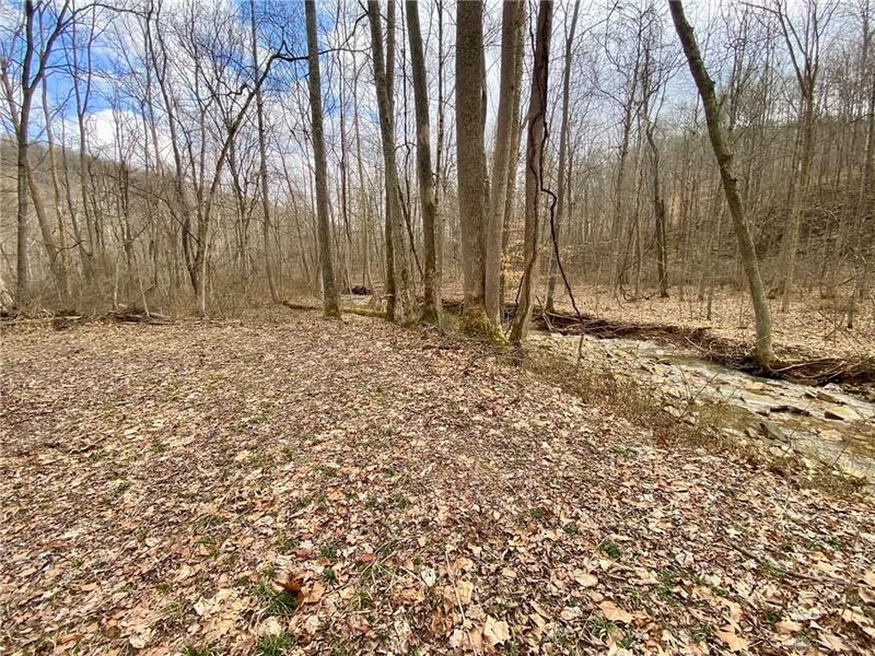 20 Beech Fork Road, Otway, OH 45657 Photo 7