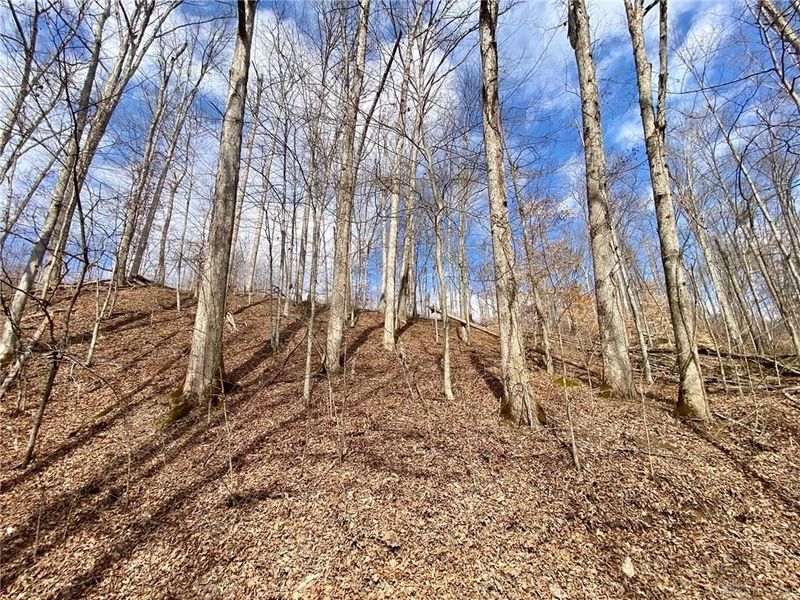 20 Beech Fork Road, Otway, OH 45657 Photo 8