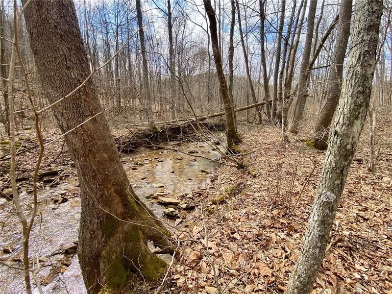 20 Beech Fork Road, Otway, OH 45657 Photo 9