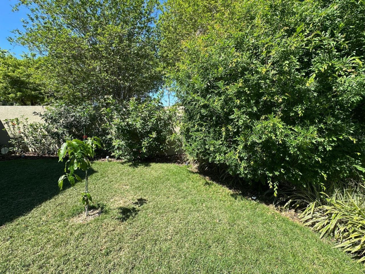 8734 Crestgate Circle, Orlando, FL 32819 Photo