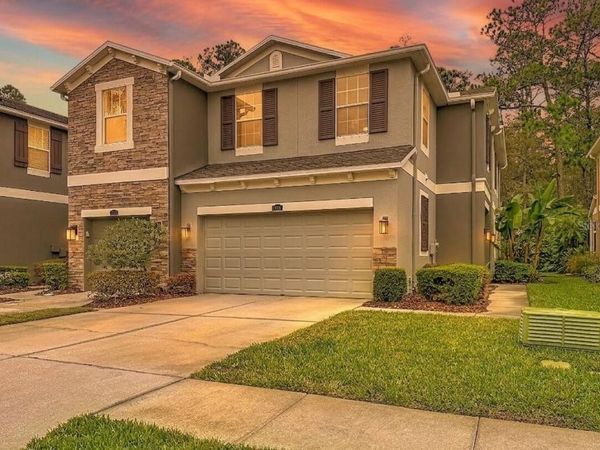 12516 STREAMDALE DRIVE , TAMPA, FL 33626